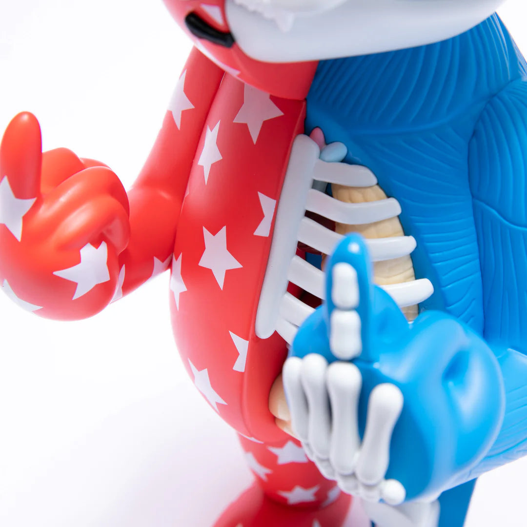 FREEDOM NERM ANATOMY VINYL FIGURE