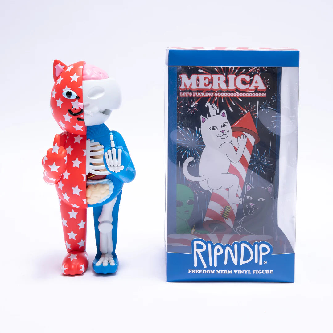 FREEDOM NERM ANATOMY VINYL FIGURE