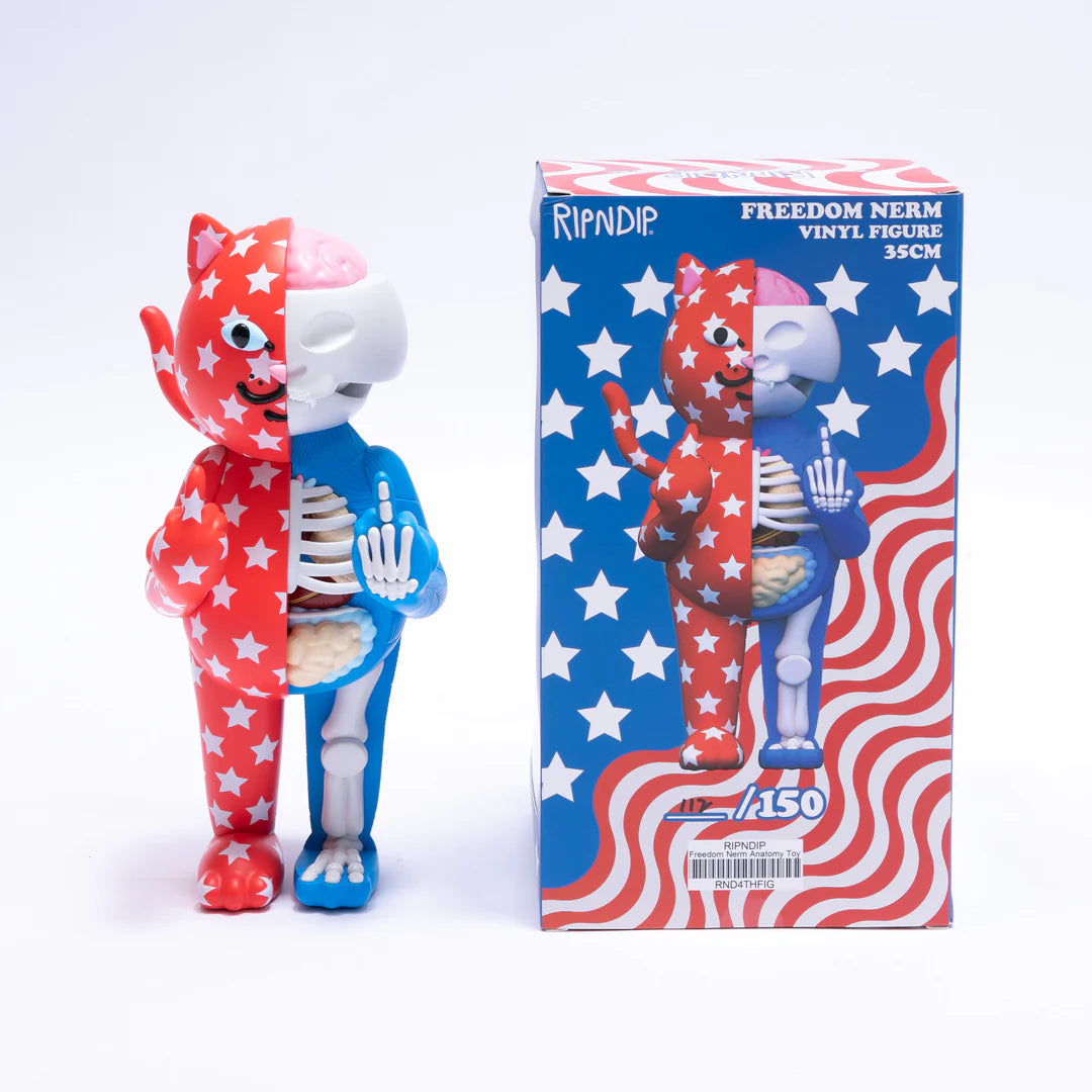 FREEDOM NERM ANATOMY VINYL FIGURE