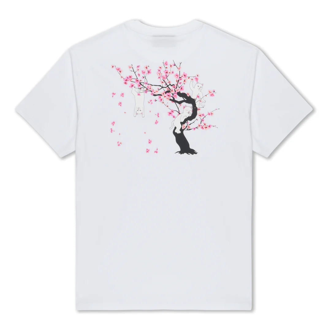 Cherry Blossom Tee (White)