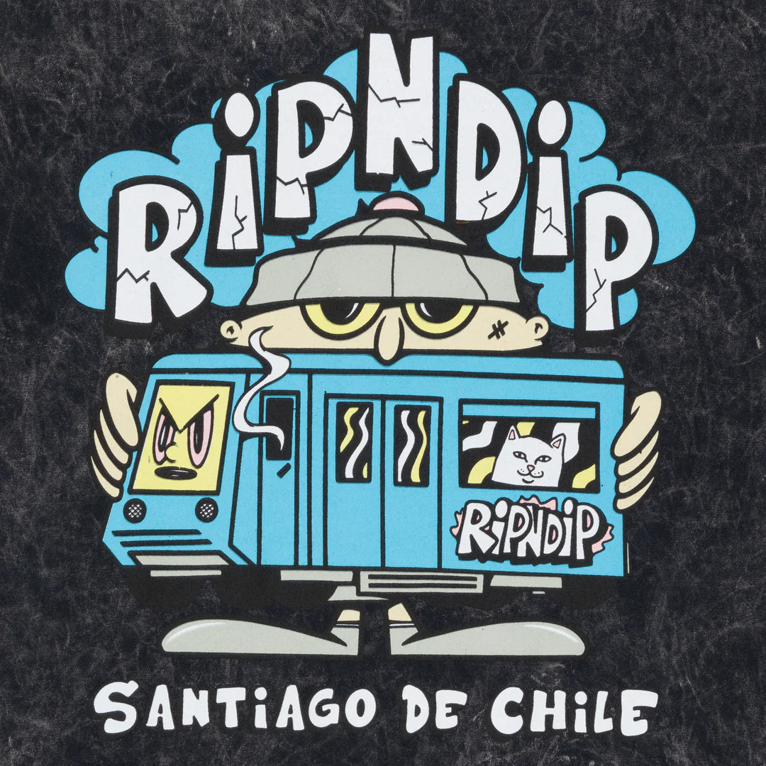 NERM IN CHILE TEE (BLACK MINERAL WASH)