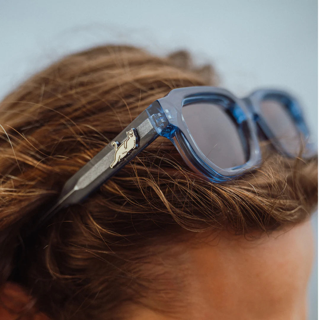 Catstanza Sunglasses (Blue)