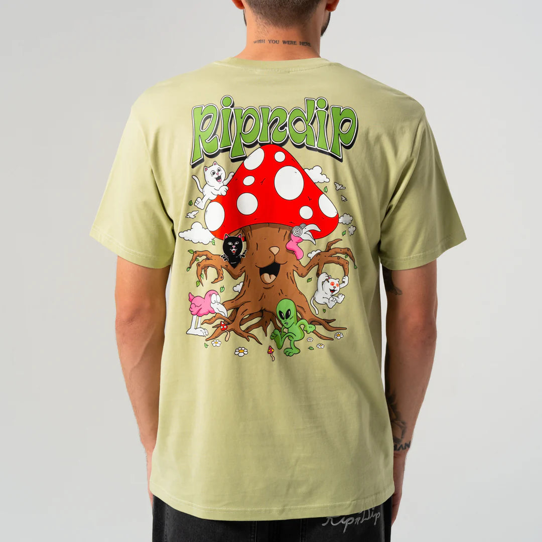 Playground Tee (Light Moss)