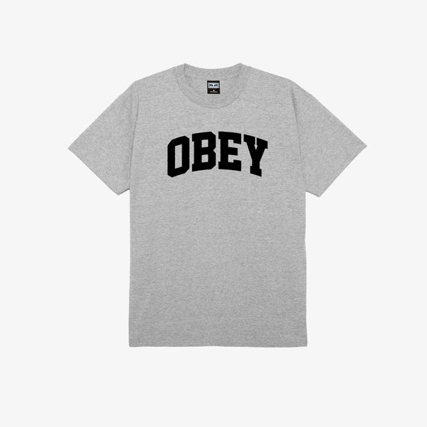 COLLEGIATE HEAVYWEIGHT T-SHIRT