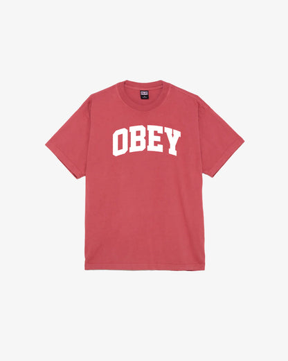 COLLEGIATE HEAVYWEIGHT T-SHIRT