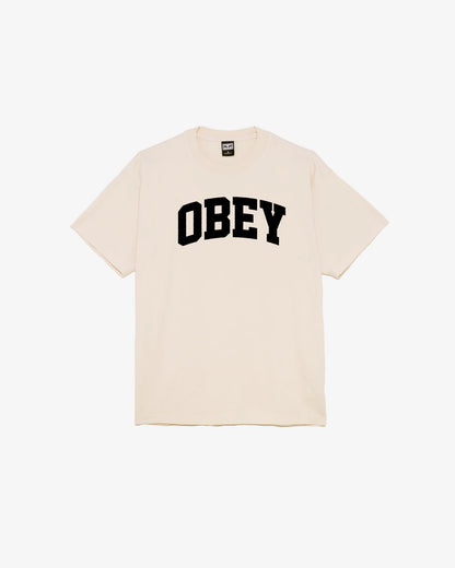 COLLEGIATE HEAVYWEIGHT T-SHIRT