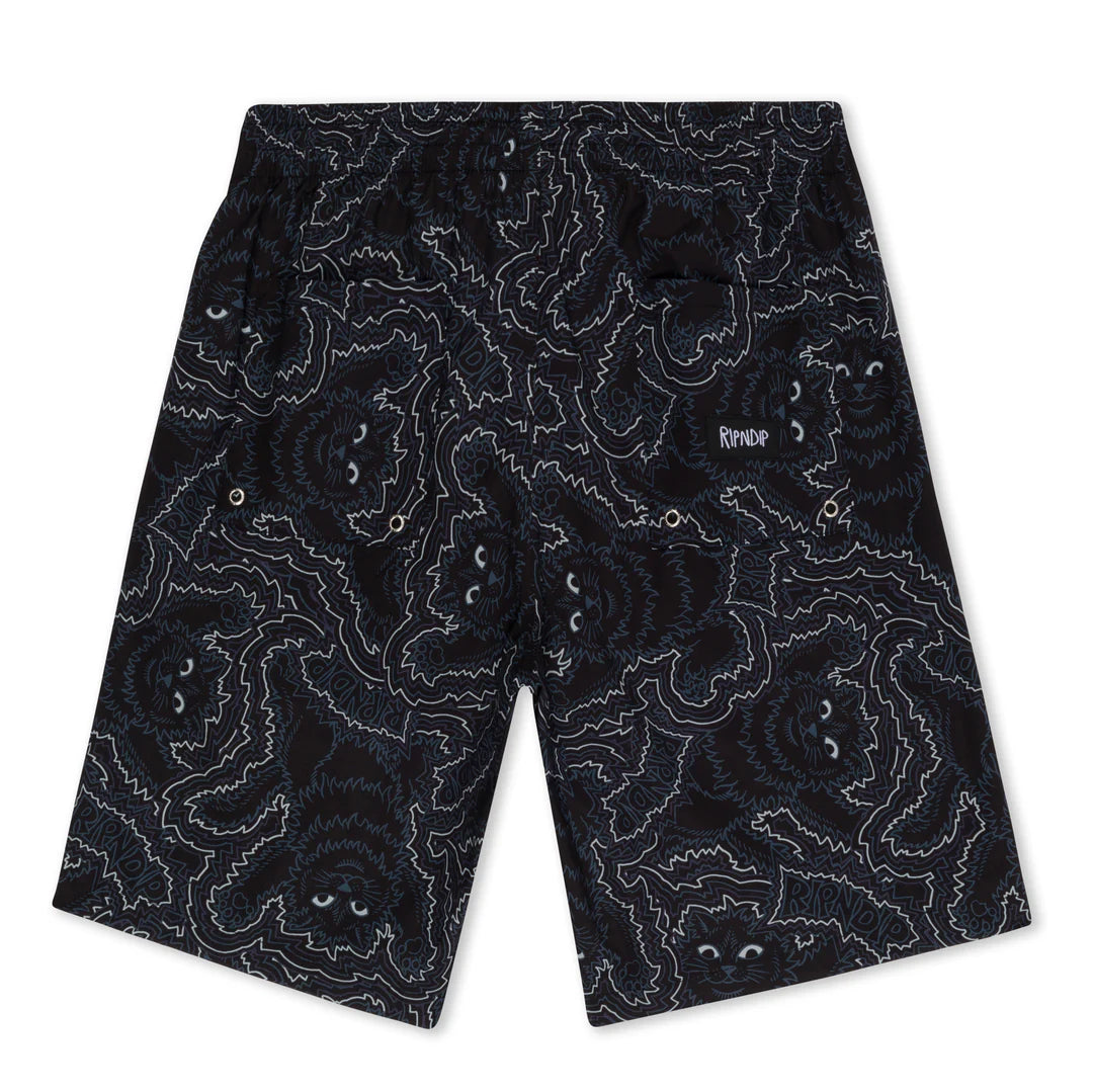 BIG PUSSY ENERGY  SWIM SHORTS (BLACK)