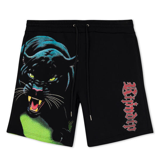 FEIN SWEATSHORTS (BLACK)