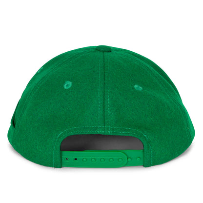 TEAM SPIRIT SNAPBACK (GREEN)