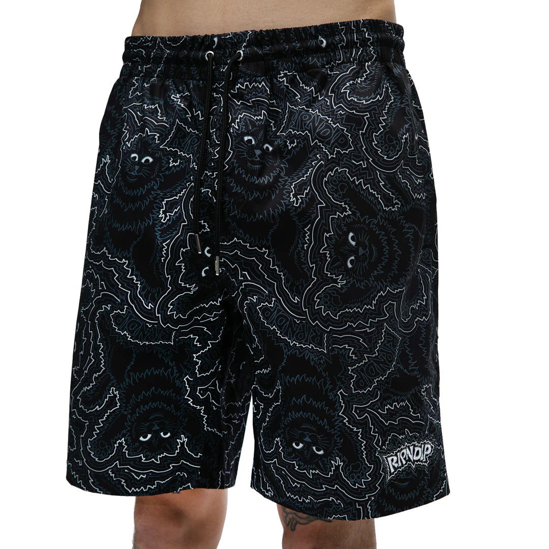 BIG PUSSY ENERGY  SWIM SHORTS (BLACK)