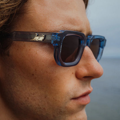 Catstanza Sunglasses (Blue)